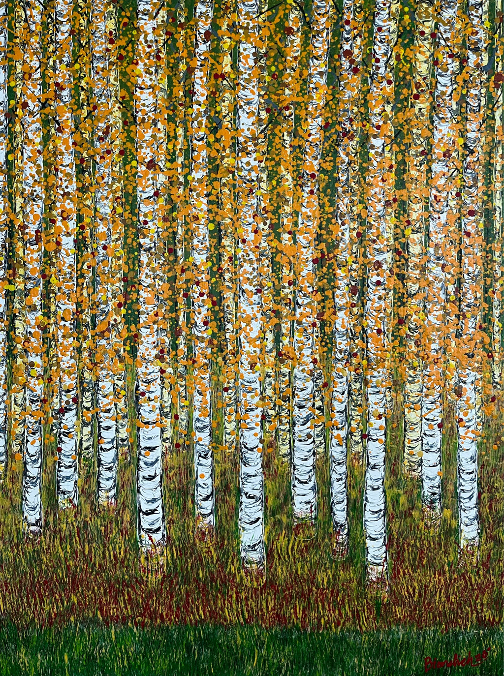Birch Colors