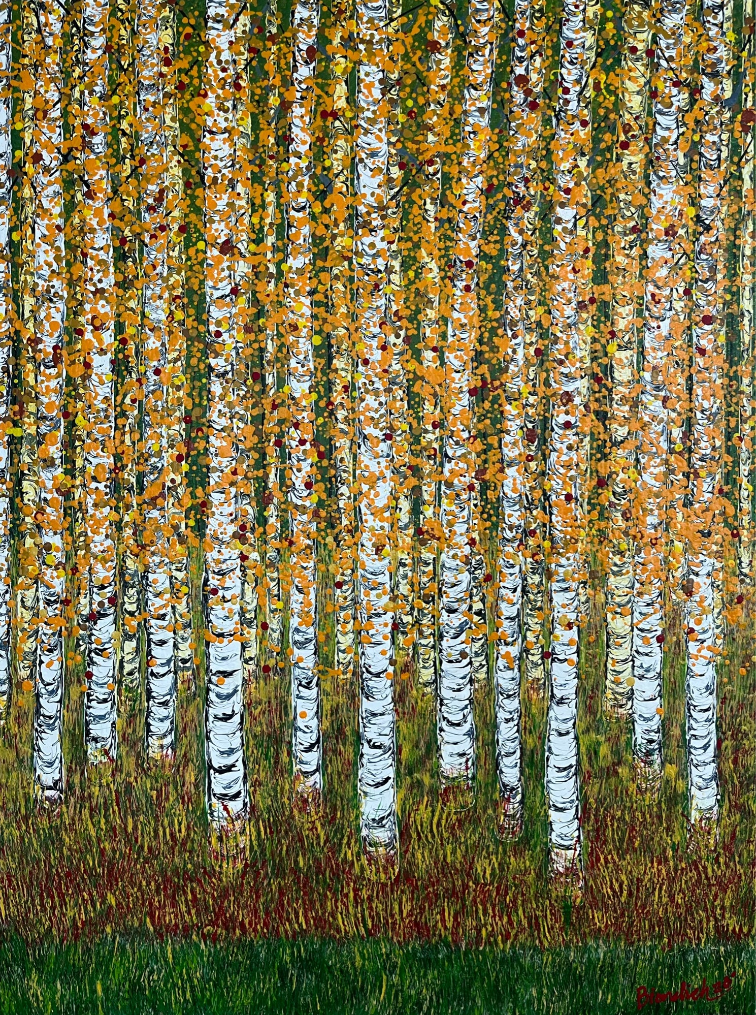 Birch Colors