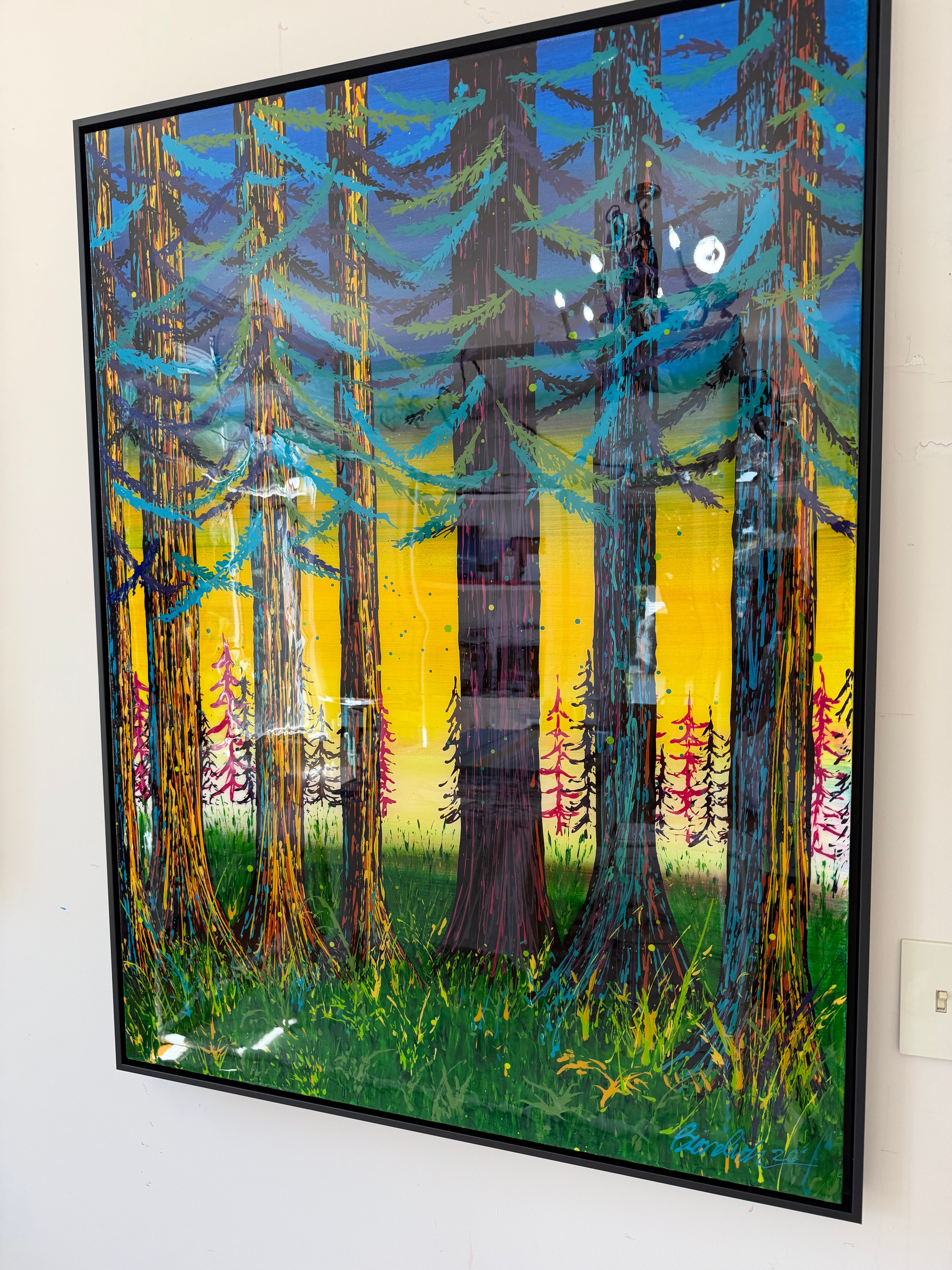 Redwoods 2