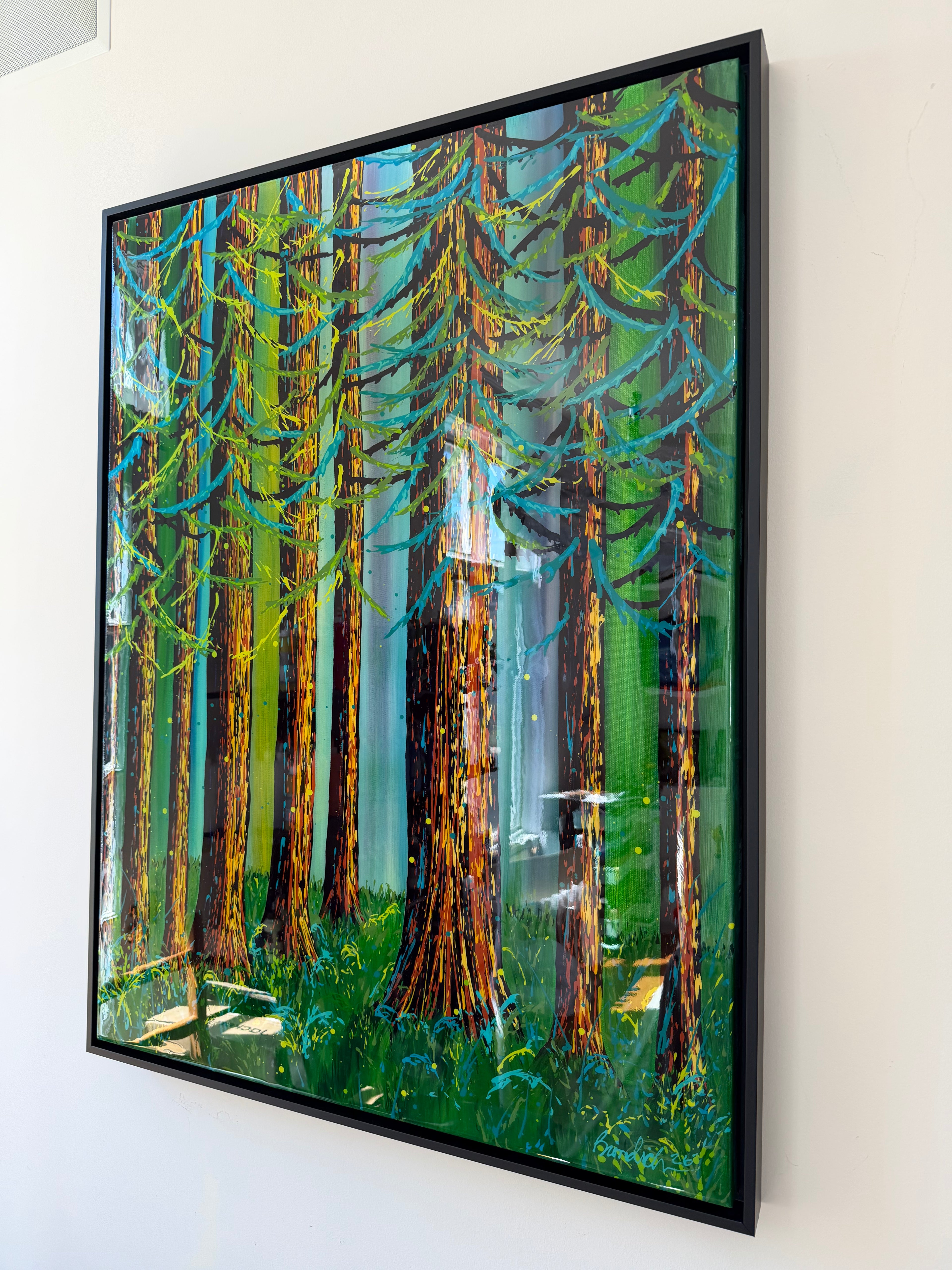 Redwoods